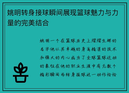 姚明转身接球瞬间展现篮球魅力与力量的完美结合